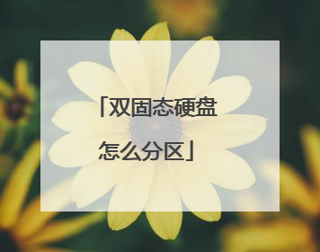 双固态硬盘怎么分区