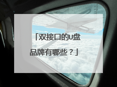 双接口的U盘品牌有哪些？