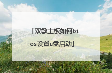 双敏主板如何bios设置u盘启动