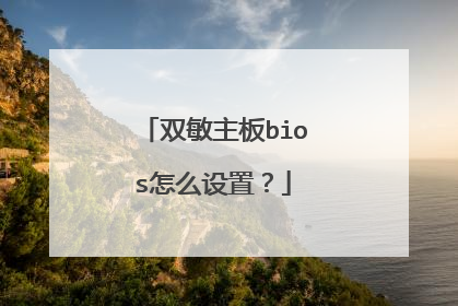 双敏主板bios怎么设置?