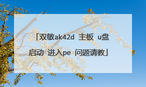 双敏ak42d 主板 u盘启动 进入pe 问题请教