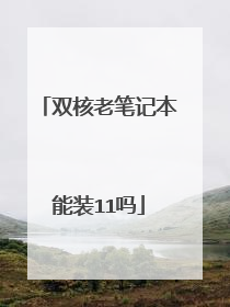 双核老笔记本能装11吗