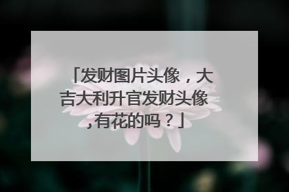发财图片头像，大吉大利升官发财头像,有花的吗？