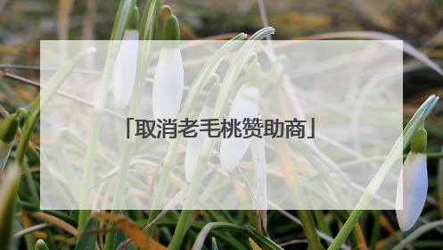 取消老毛桃赞助商