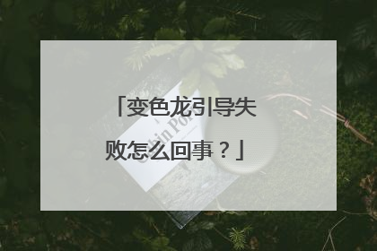变色龙引导失败怎么回事?