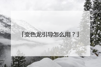 变色龙引导怎么用?