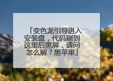 变色龙引导进入安装盘,代码刷到这里后黑屏,请问怎么解?黑苹果