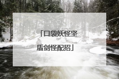 口袋妖怪坚盾剑怪配招