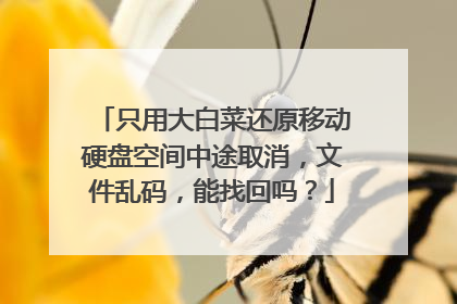 只用大白菜还原移动硬盘空间中途取消,文件乱码,能找回吗?