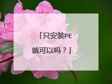 只安装PE就可以吗？
