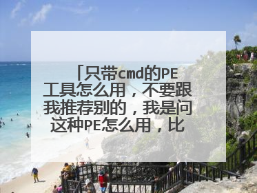 只带cmd的PE工具怎么用,不要跟我推荐别的,我是问这种PE怎么用,比如打开DiskGenius,