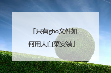 只有gho文件如何用大白菜安装