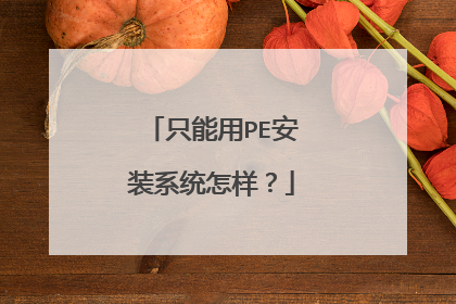 只能用PE安装系统怎样？