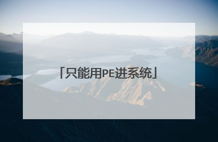 只能用PE进系统