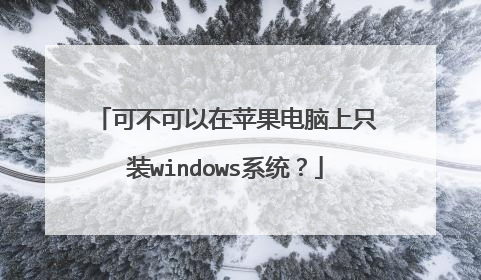 可不可以在苹果电脑上只装windows系统?