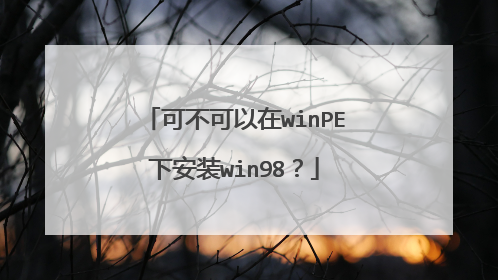 可不可以在winPE下安装win98？