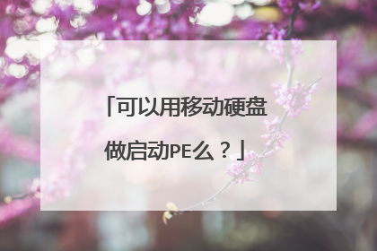 可以用移动硬盘做启动PE么?
