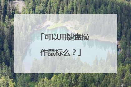 可以用键盘操作鼠标么?