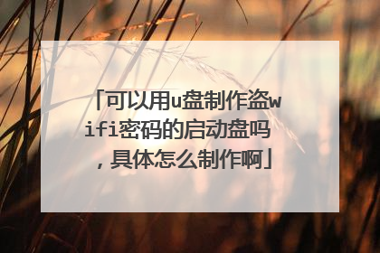 可以用u盘制作盗wifi密码的启动盘吗,具体怎么制作啊
