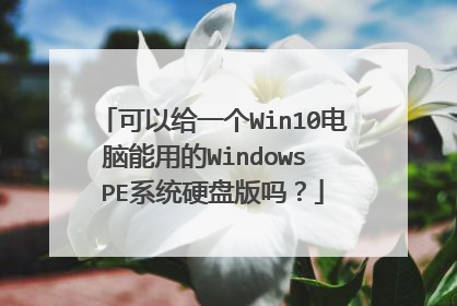 可以给一个Win10电脑能用的Windows PE系统硬盘版吗?