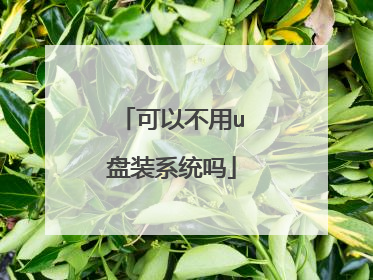 可以不用u盘装系统吗
