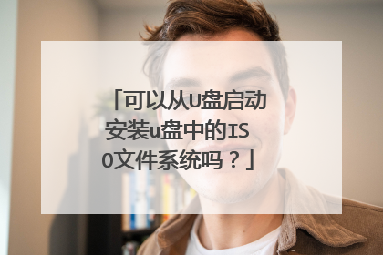 可以从U盘启动安装u盘中的ISO文件系统吗?