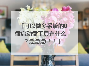 可以做多系统的U盘启动盘工具有什么?急急急!!