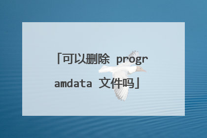 可以删除 programdata 文件吗