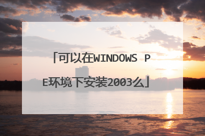 可以在WINDOWS PE环境下安装2003么
