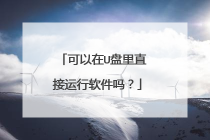 可以在U盘里直接运行软件吗?