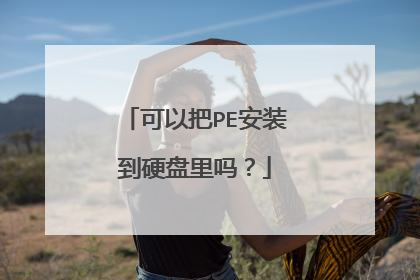 可以把PE安装到硬盘里吗？