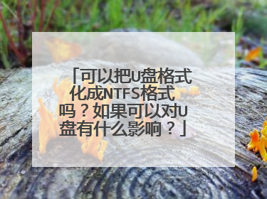 可以把U盘格式化成NTFS格式吗?如果可以对U盘有什么影响?