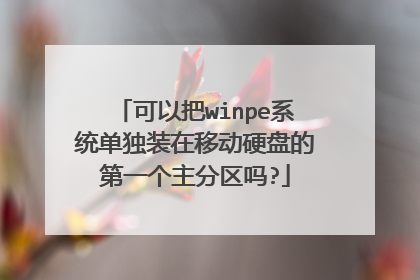 可以把winpe系统单独装在移动硬盘的第一个主分区吗?