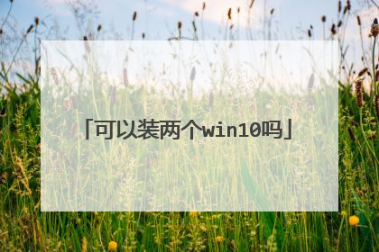 可以装两个win10吗