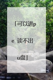 可以进pe 读不出u盘