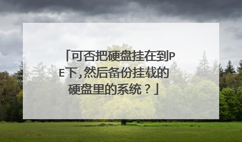 可否把硬盘挂在到PE下,然后备份挂载的硬盘里的系统？