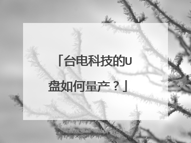 台电科技的U盘如何量产?