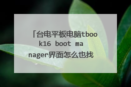 台电平板电脑tbook16 boot manager界面怎么也找不到u盘的安装引导
