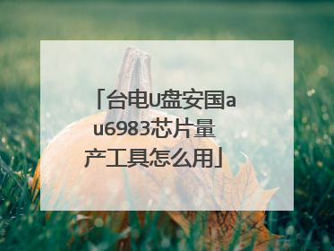 台电U盘安国au6983芯片量产工具怎么用