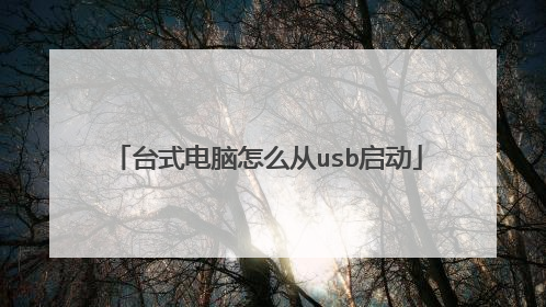 台式电脑怎么从usb启动