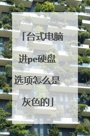 台式电脑进pe硬盘选项怎么是灰色的