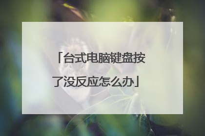台式电脑键盘按了没反应怎么办