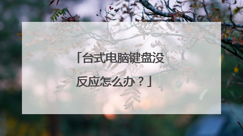 台式电脑键盘没反应怎么办？
