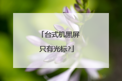 台式机黑屏只有光标?