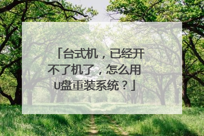 台式机,已经开不了机了,怎么用U盘重装系统?