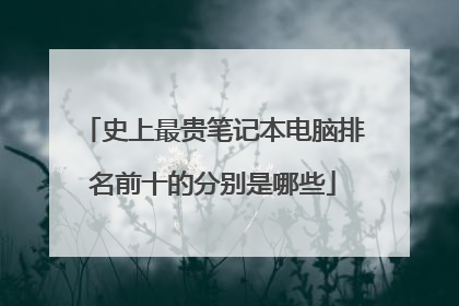 史上最贵笔记本电脑排名前十的分别是哪些