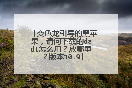 变色龙引导的黑苹果,请问下载的dadt怎么用?放哪里?版本10.9