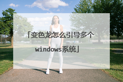 变色龙怎么引导多个windows系统