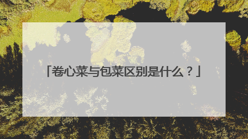 卷心菜与包菜区别是什么？