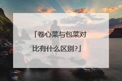 卷心菜与包菜对比有什么区别?